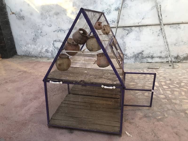 parrot and hen cage 2