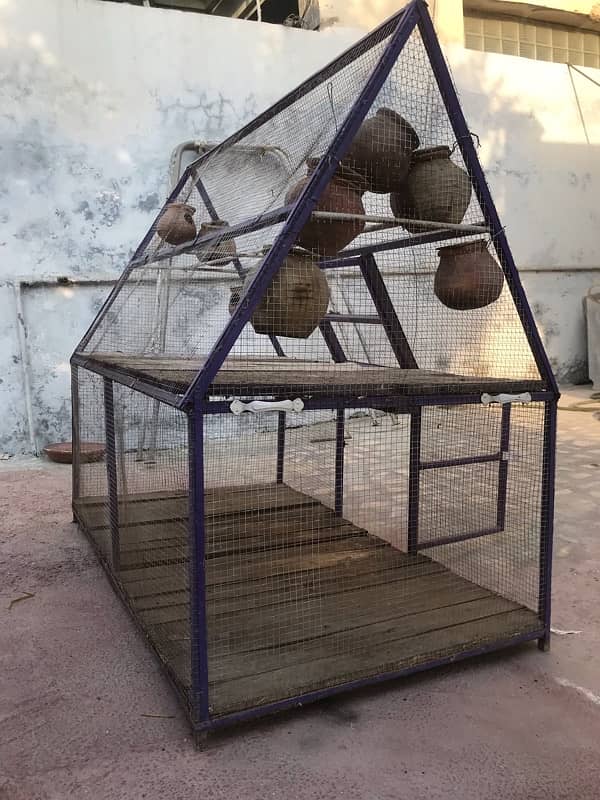 parrot and hen cage 4