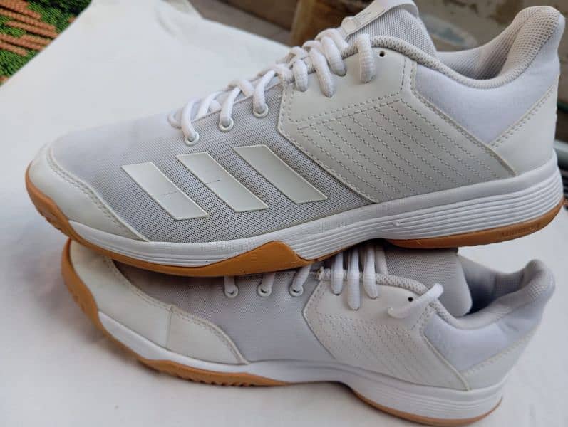 Adidas Badminton/Squash Shoes 1