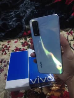 vivo