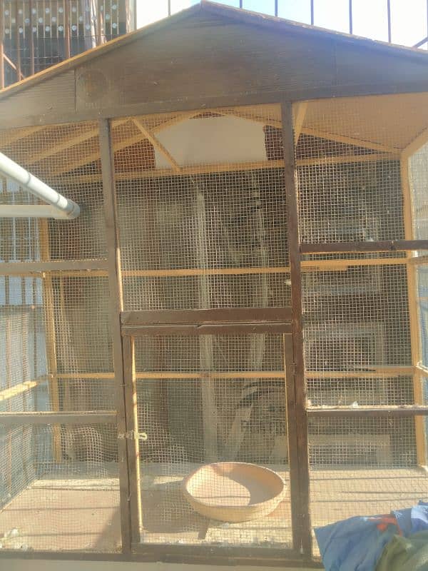 Cage for Urgent Sale 2