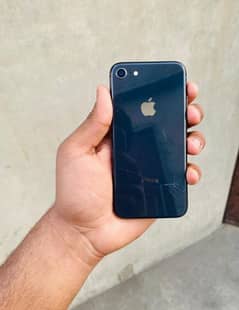 I PHONE 8 PTA APPROVED