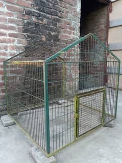 Hen cage big size