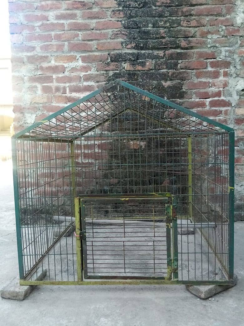 Hen cage big size 1