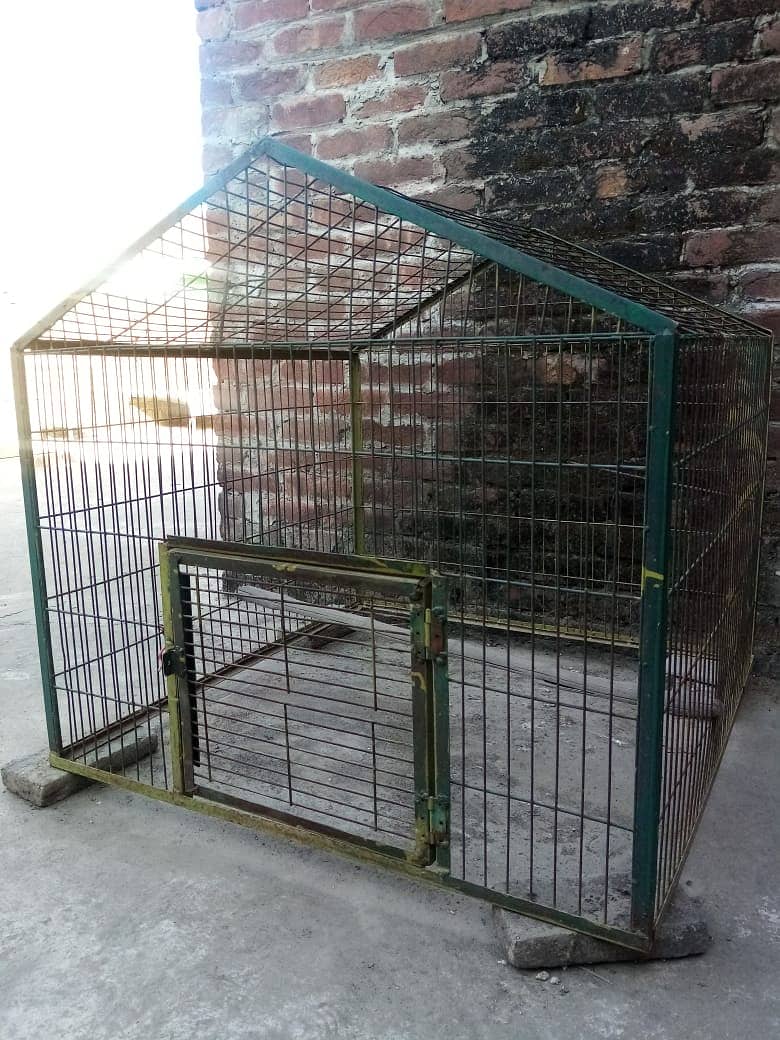 Hen cage big size 2