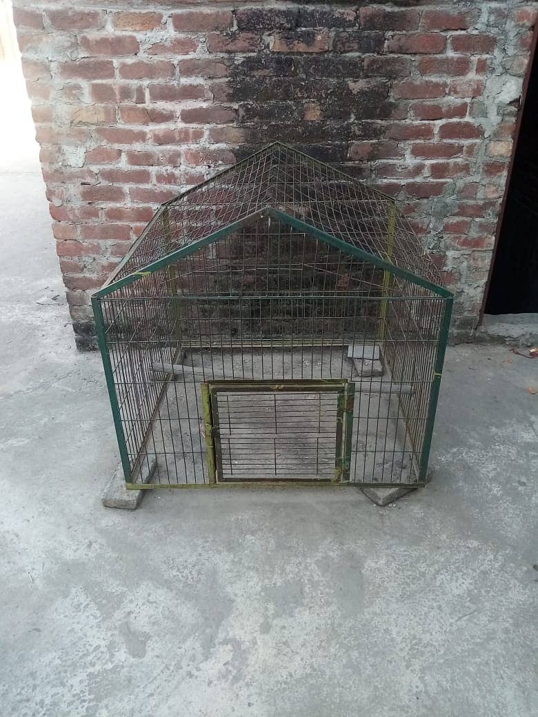 Hen cage big size 3