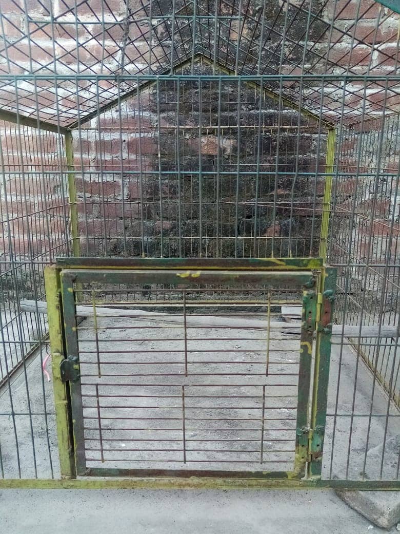 Hen cage big size 4