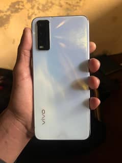 Vivo