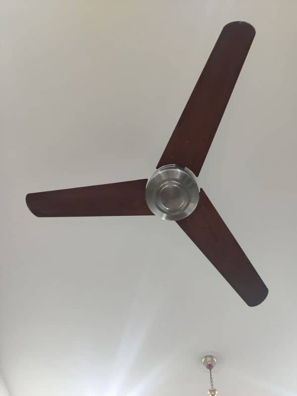 GFC Fan Brave Model Premium Luxury Fan 1