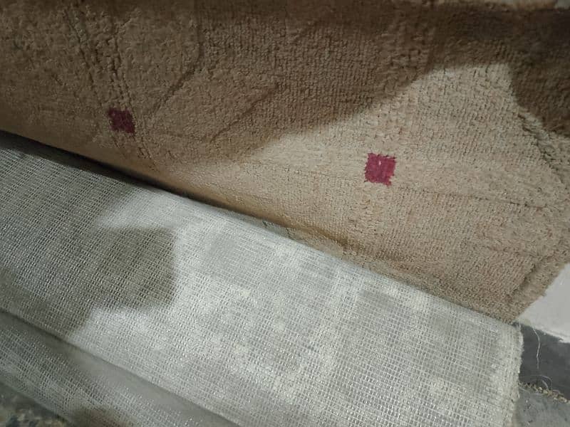 Carpet for Sale 3