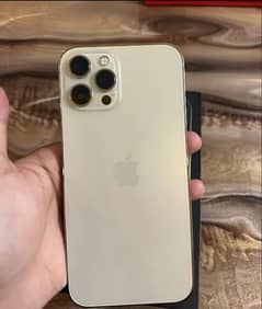 Iphone 12pro max 128gb Pta Approved