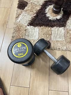 6 kg Dumbell Pair