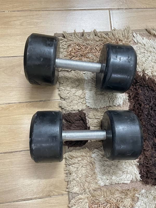 6 kg Dumbell Pair 1