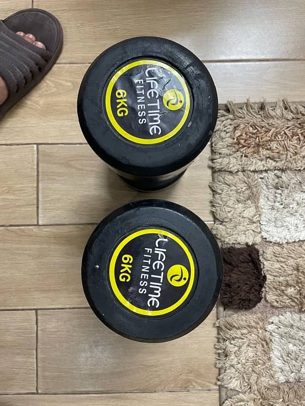 6 kg Dumbell Pair 2