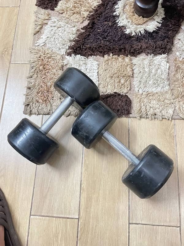 6 kg Dumbell Pair 3