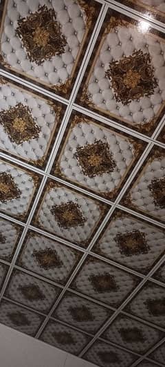 ceiling 2×2