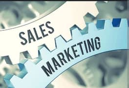 sales and marketing experts required