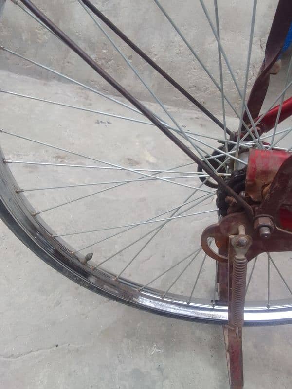 Genien  sohrab bicycle cell no 03056811298 9