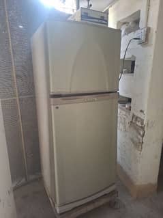 Dawlance, Medium size Fridge