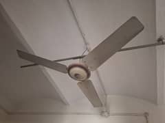 4 ceiling fans