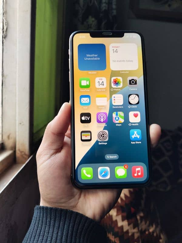 Xs Max (Pta approved) 5