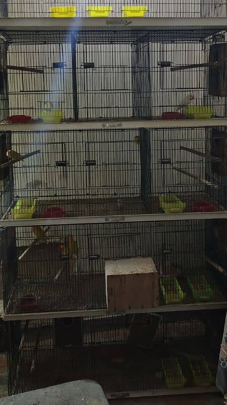 love bird cages available 0