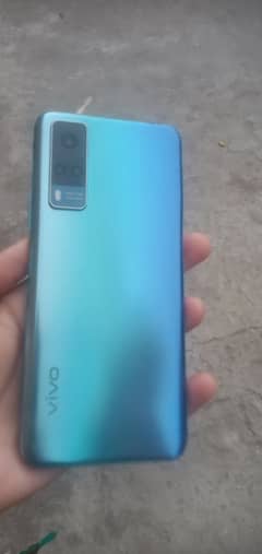 Vivo