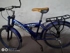 deluxe sport bicycle