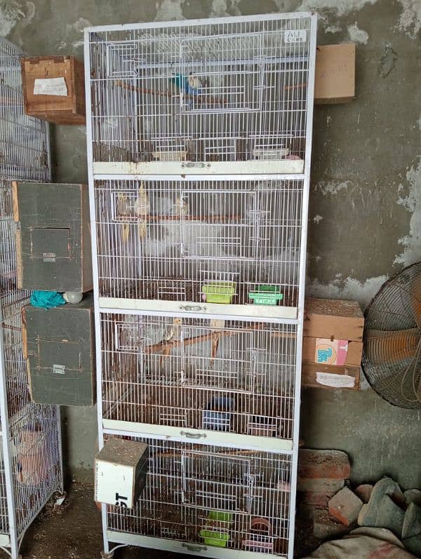 parrot cage 1