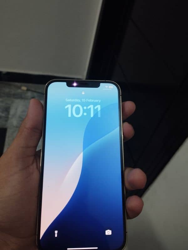 iPhone 12 pro max pta approved 2