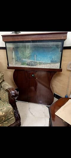 fish eqarium for sale