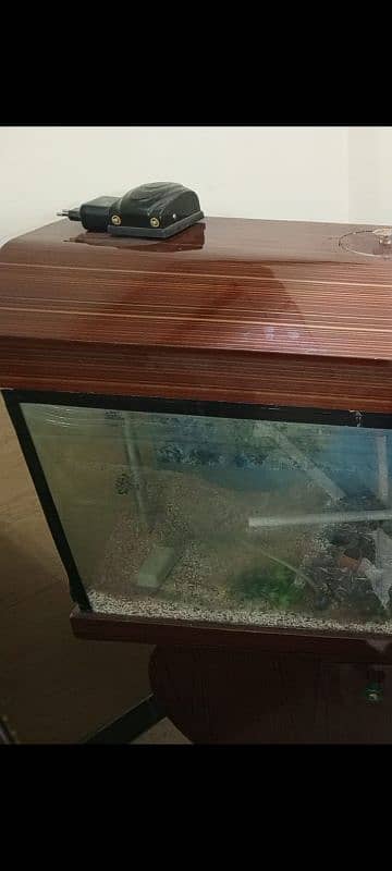 fish eqarium for sale 4