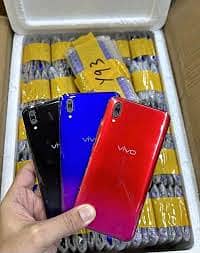 vivo