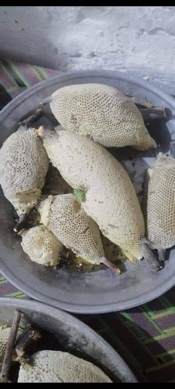 pure forest honey hives (chattay)