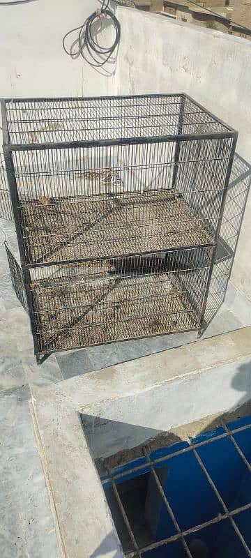 2 floor al type of bird and hen cage 1