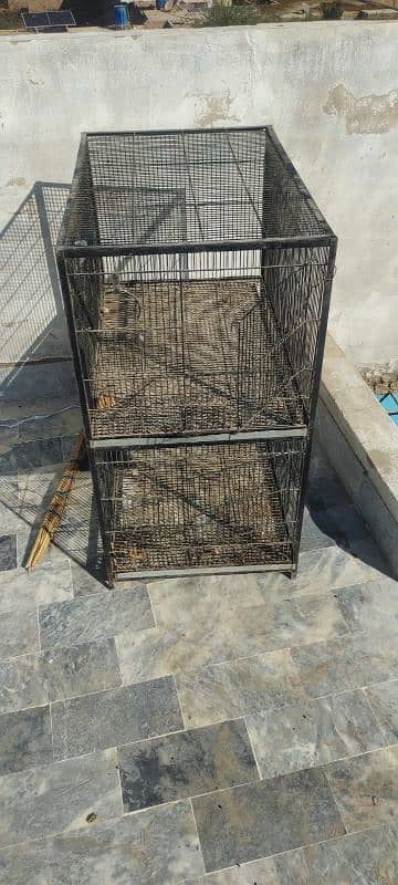 2 floor al type of bird and hen cage 2