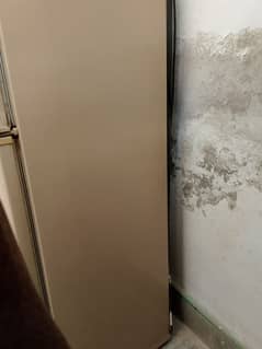 pel refrigerator medium size for sell