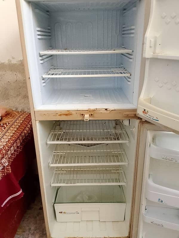 pel refrigerator medium size for sell 4