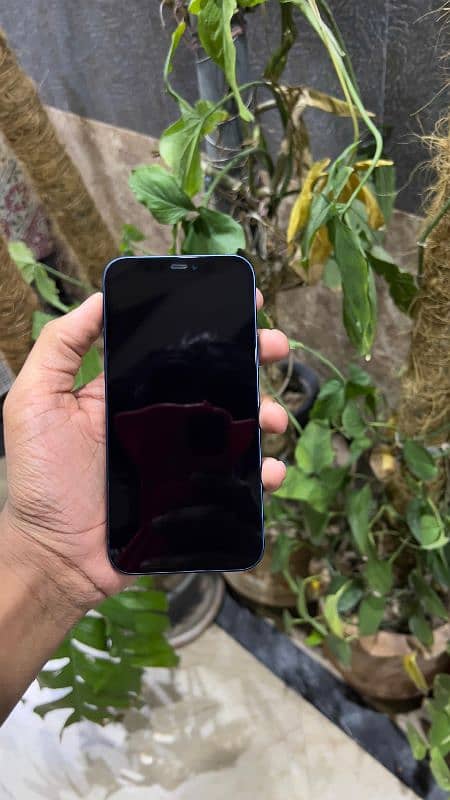 iPhone 12 factory unlocked Urgent sale 1