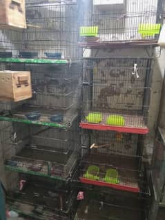 cages for birds like new