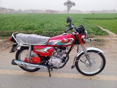 Honda 125 all Punjab number 2023model urgent sale