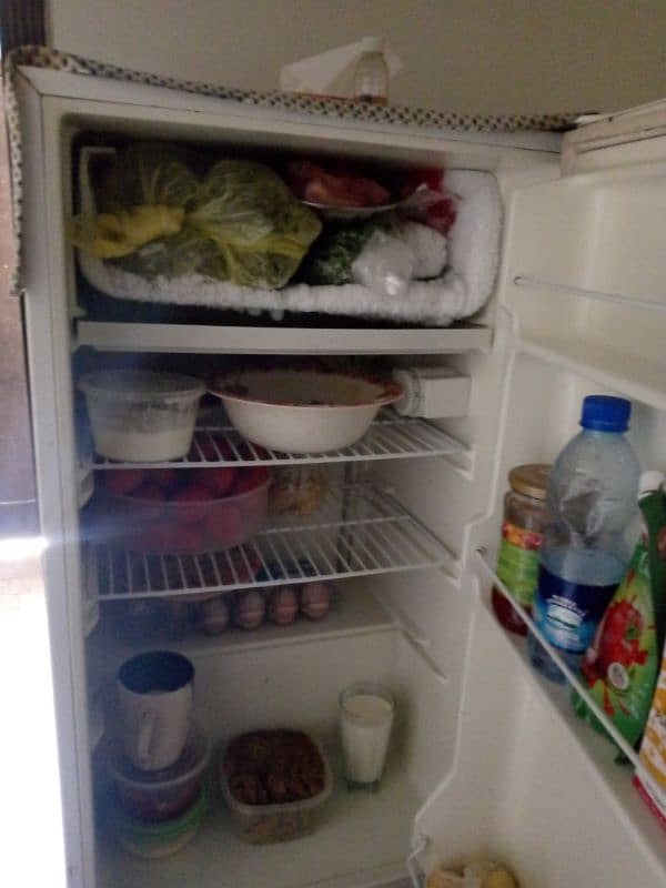 fridge Haier 1