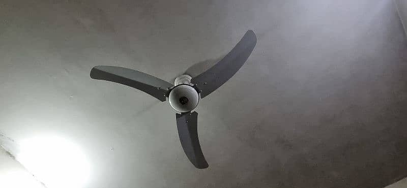 fan ceiling 0