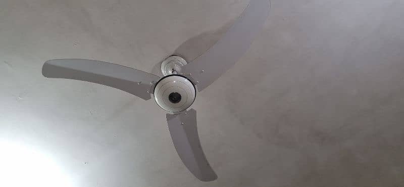 fan ceiling 1