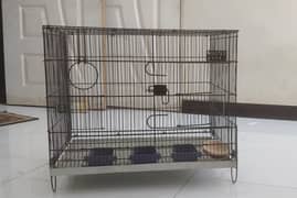 New Master Cage Urgent Sale