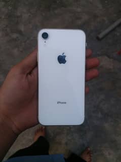 Iphone XR 64gb Non pta condition 10/10