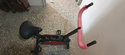 Exercise Bicycle Adjustable Seat, Bought In 2024