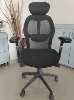 Office Chair Executive