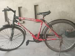 Zoom Sport Bike for Sale – Good Condition