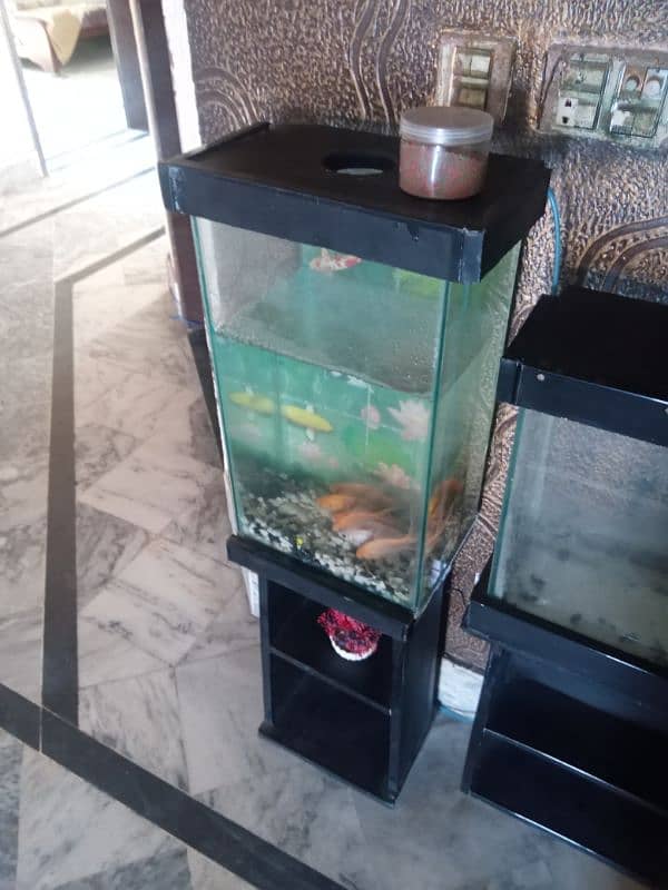 Fish Aquarium 2